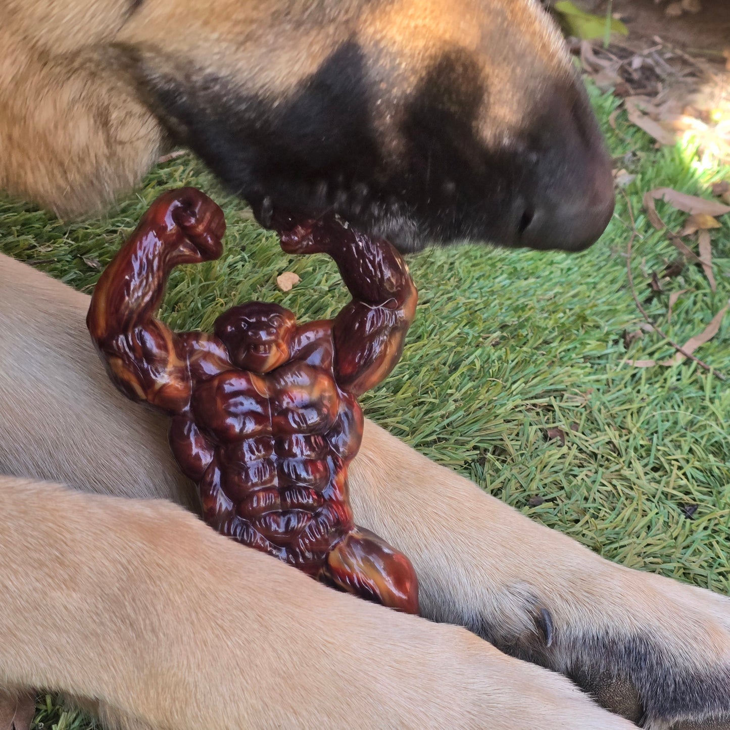 Gorilla Dog Chew. Beef flavoured. Super Tuff