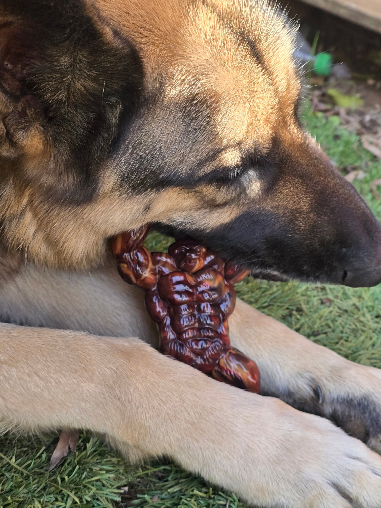 Gorilla Dog Chew. Beef flavoured. Super Tuff
