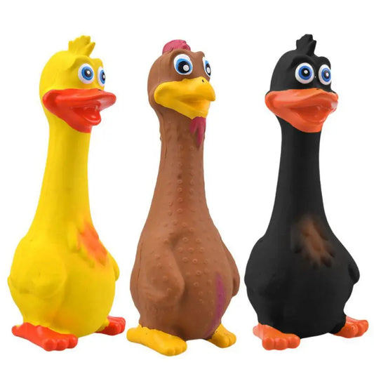 The Honky Duck