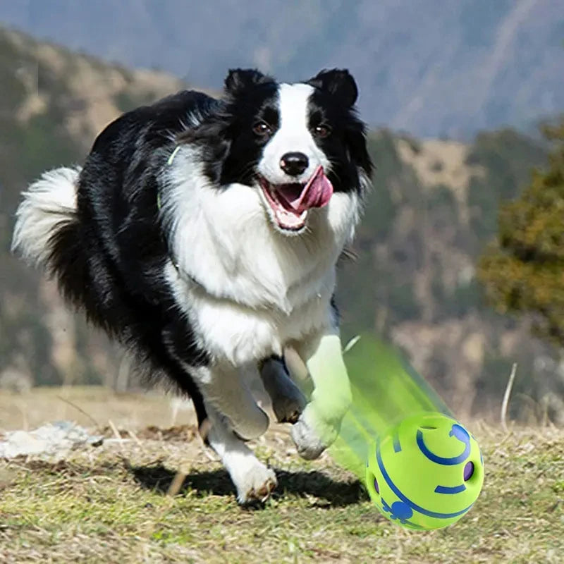 Dog Giggle Ball. Interactive fun.